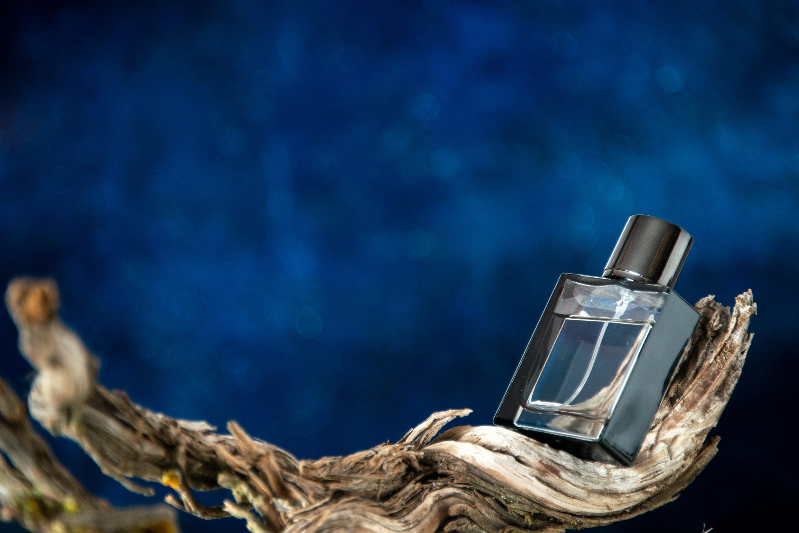 front view men perfume branch rotten wood dark blue background